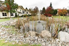 Photo of Brookdale Monroe