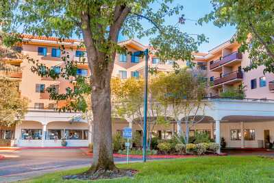 Photo of Marbella Redwood City
