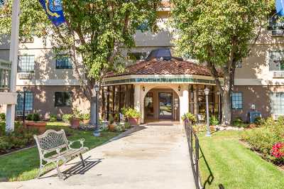 Photo of Marbella Tracy