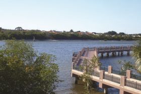 Photo of Mangrove Bay