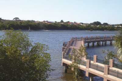 Photo of Mangrove Bay