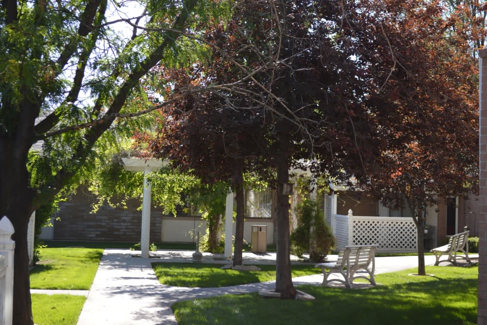 Ivybrook Assisted Living outdoor common area