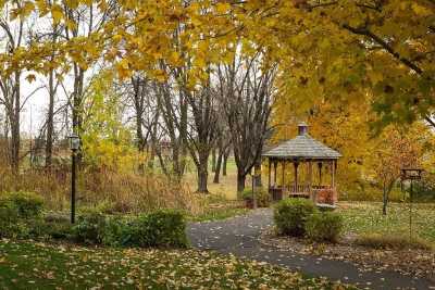 Photo of New Perspective Rosedale