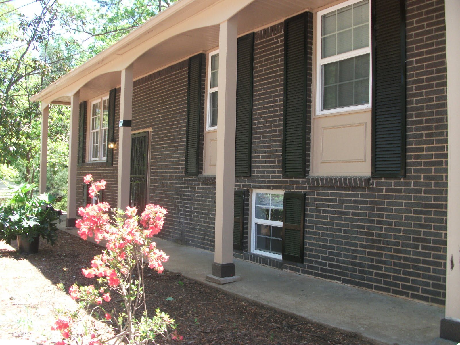 Young at Heart Place