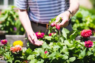 Photo of Oakwood Village Prairie Ridge