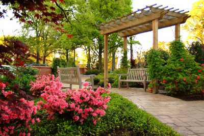Photo of Trezevant