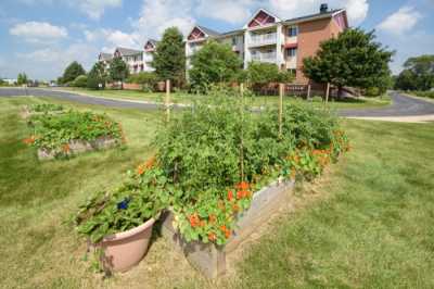 Photo of Carriage Oaks