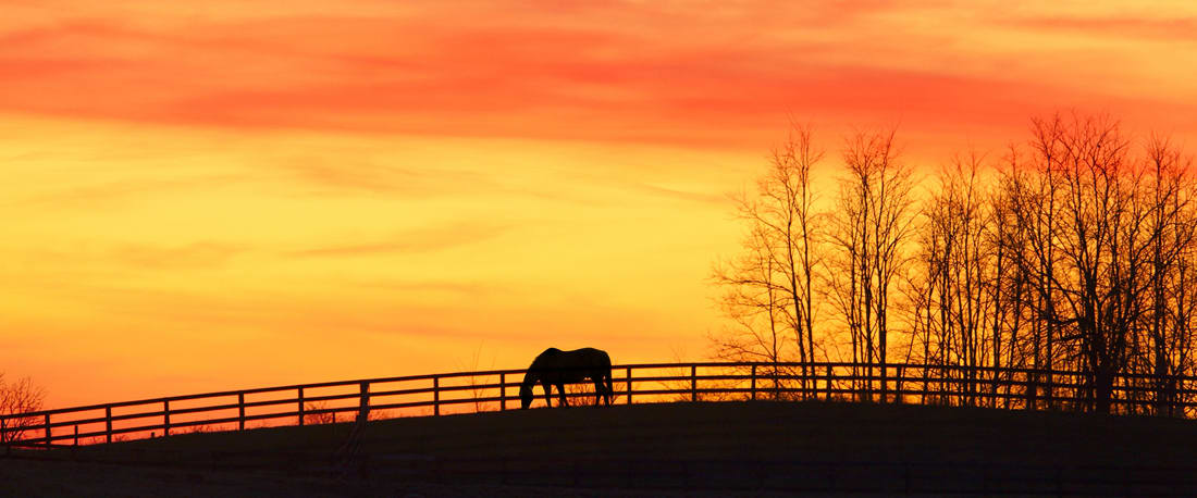 Aspen Alcove of Bardstown 