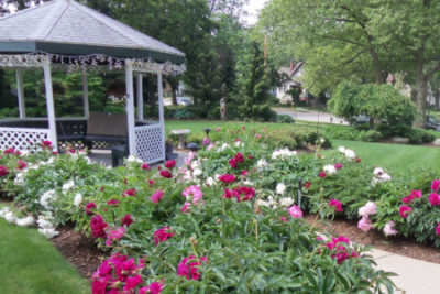 Photo of Bridgeway Park Grand Haven