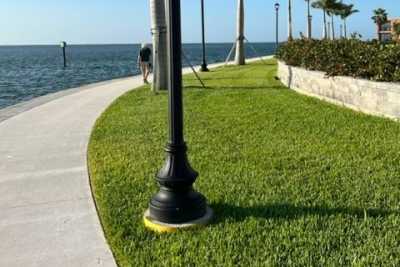 Photo of Westminster Shores, a CCRC