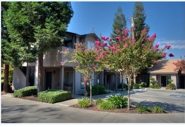 Arbor Manor Senior Cottage Apartments