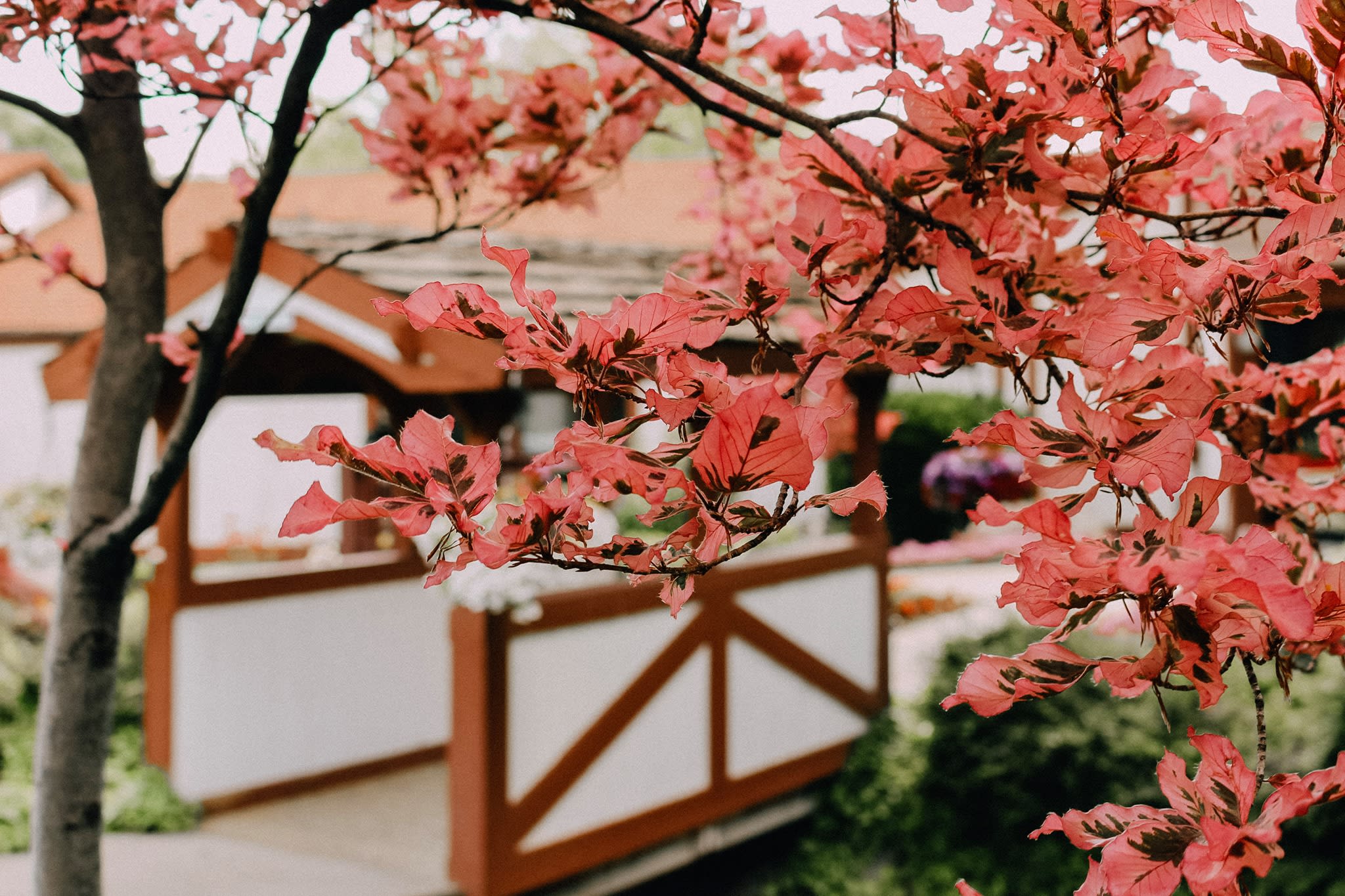 Cove Point Retirement