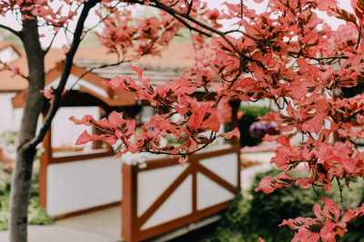 Photo of Cove Point Retirement