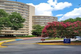 Photo of Viridian Towers
