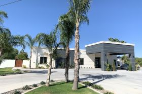 Agave Manor 