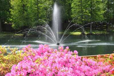 Photo of Kirby Pines LifeCare Community