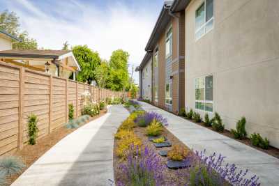 Photo of Ivy Park at San Tomas