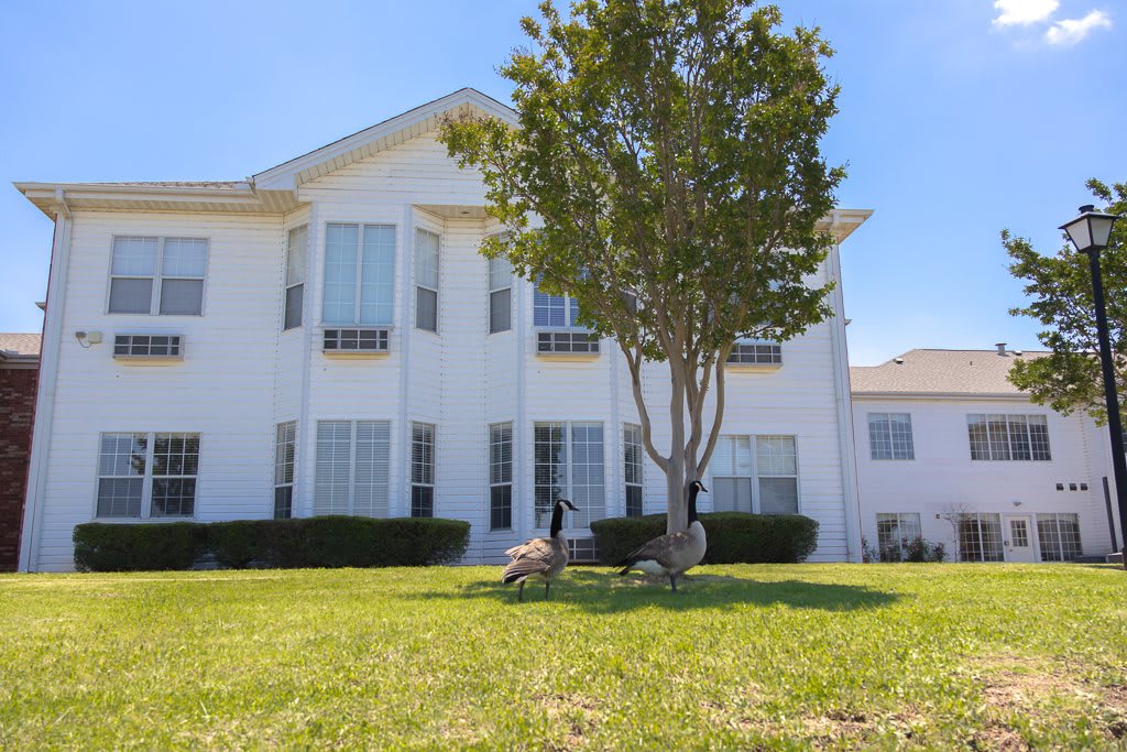 The Gardens at Lake Wellington 