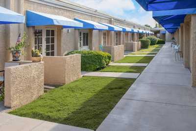 Photo of Madison Meadows