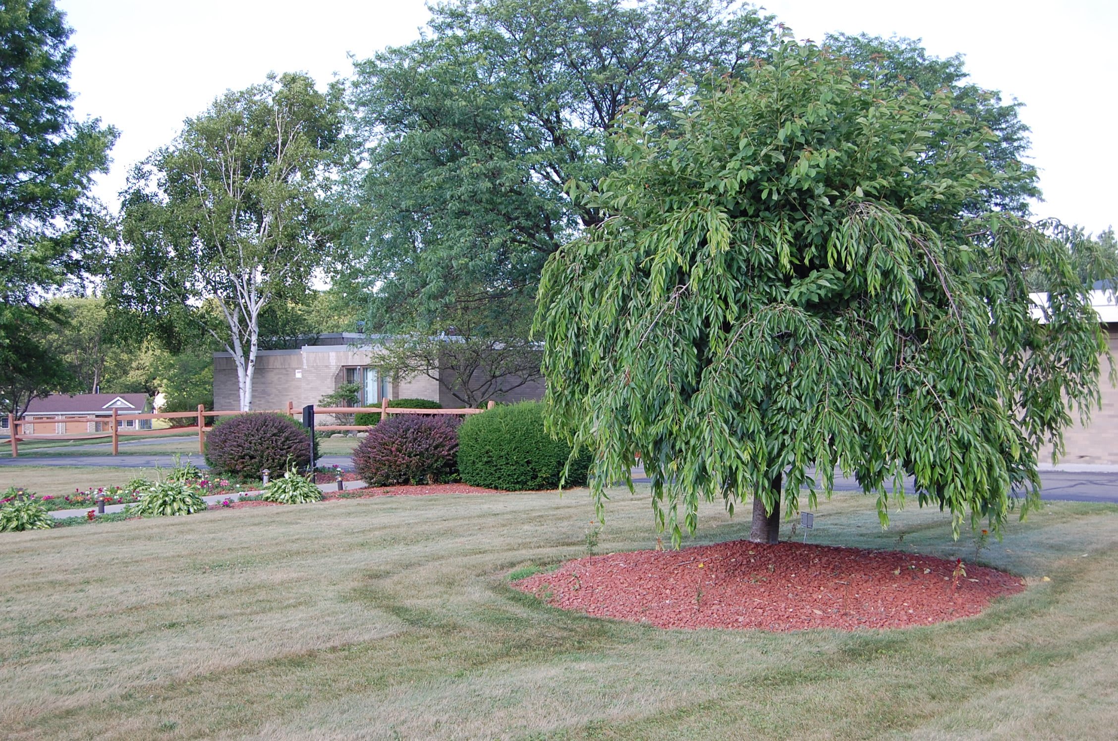 Quality Life Services Chicora