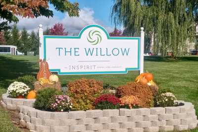 Photo of The Willow