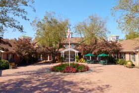 Brandywine Colts Neck by Monarch 