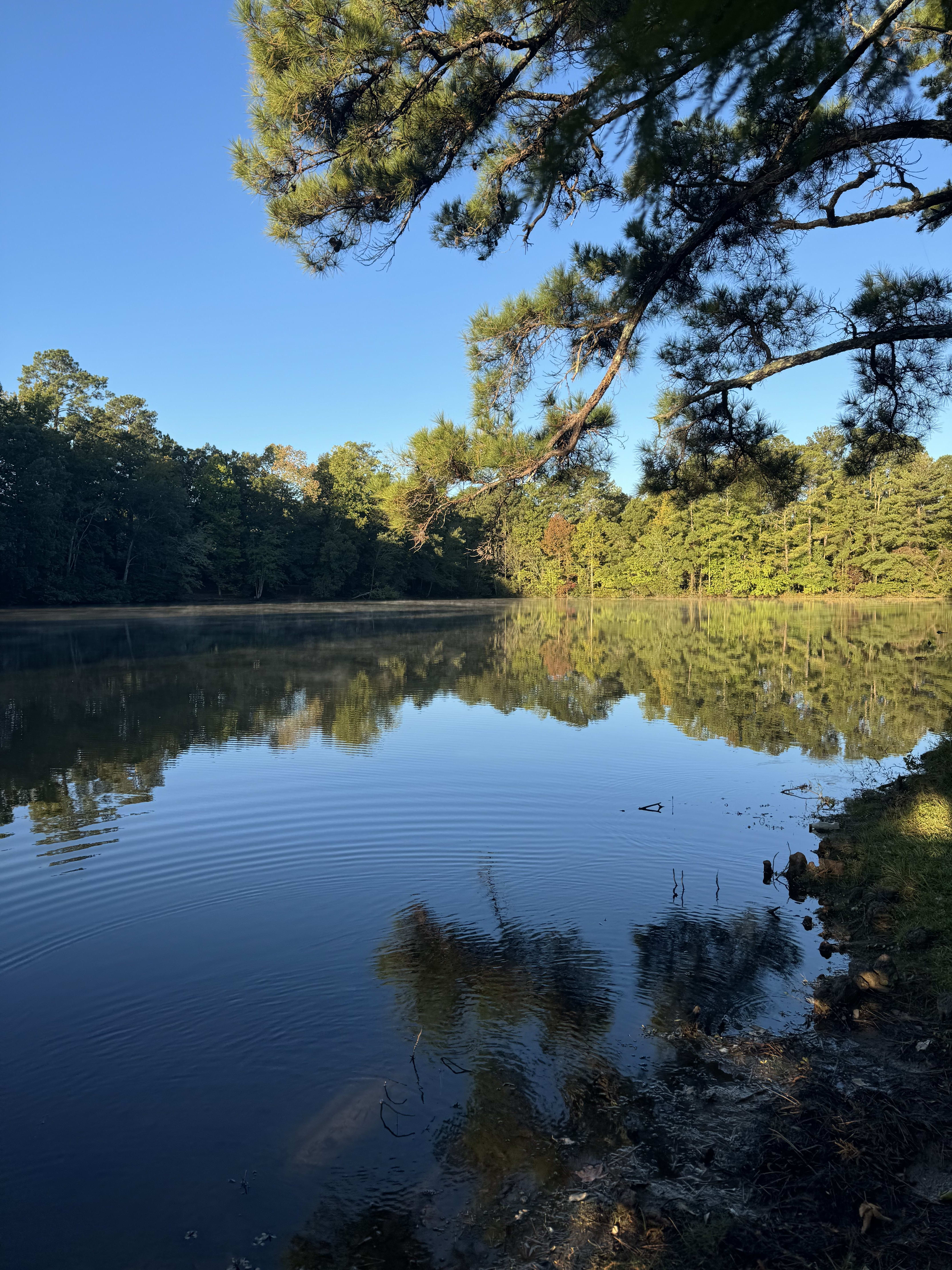 The Residences at Arbor Lake