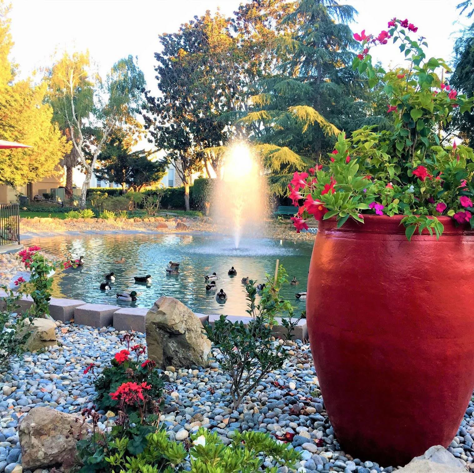 Villa Serena Retirement