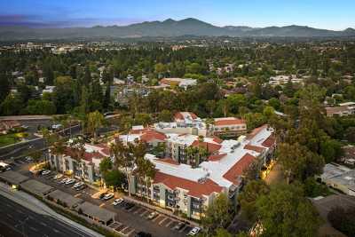 Photo of Ivy Park of Wellington