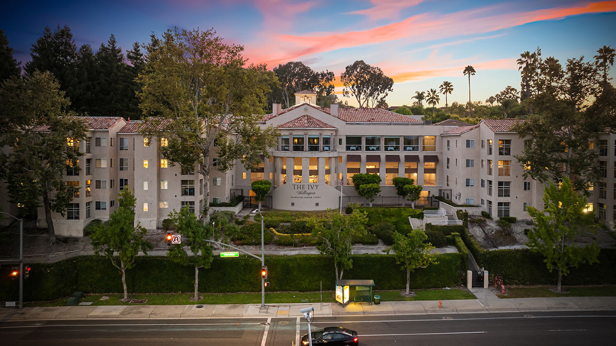 The Ivy at Wellington