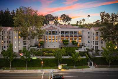 Photo of The Ivy at Wellington
