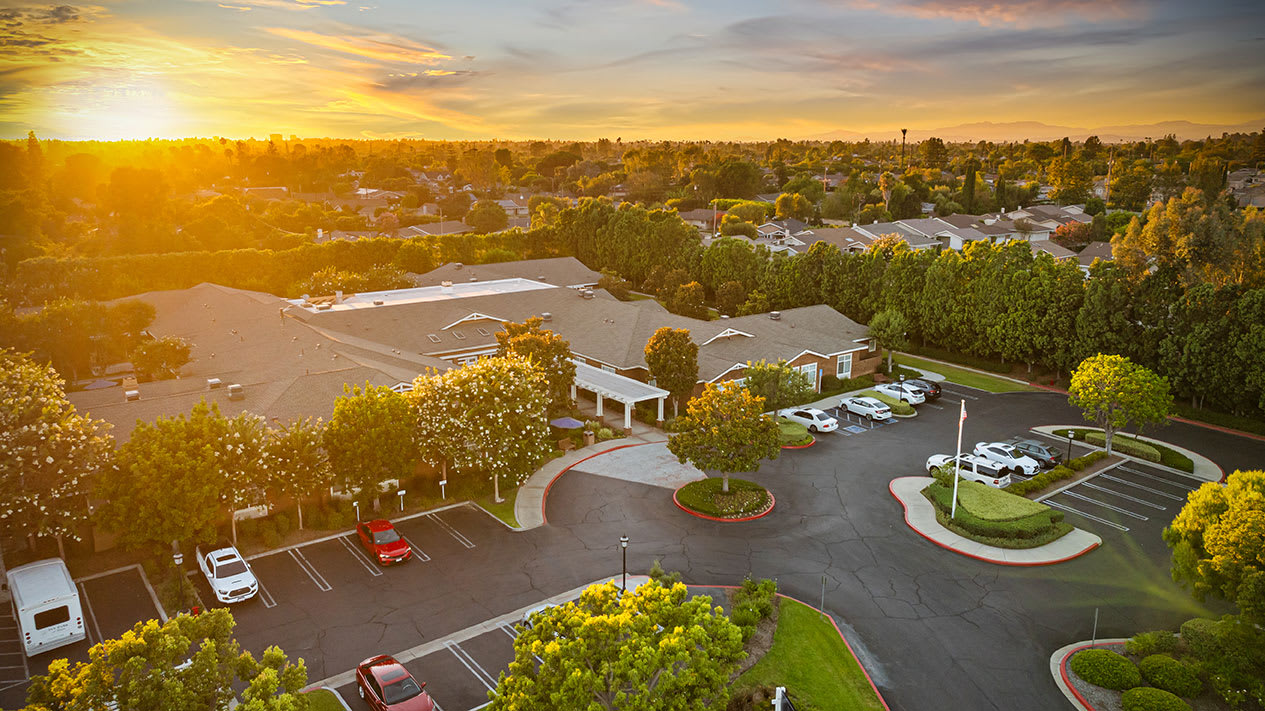 Ivy Park at Tustin