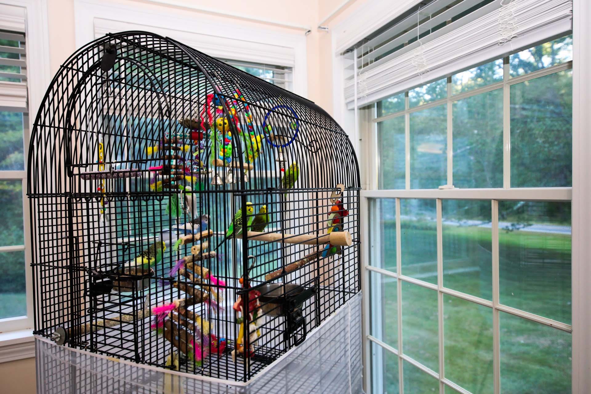 Photo of The Haven at Lee