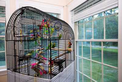 Photo of The Haven at Lee