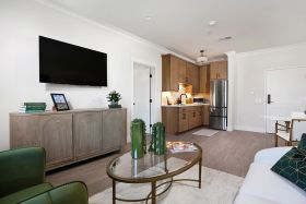 San Clemente Villas 