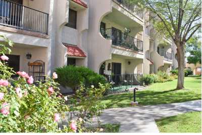 Photo of White Acres El Paso