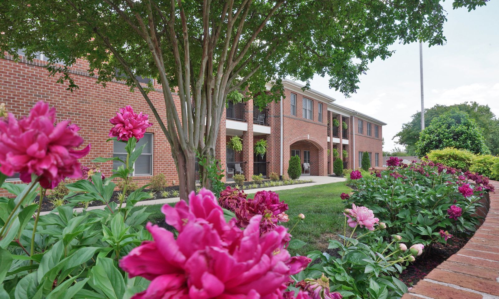 Saint Francis Manchester 