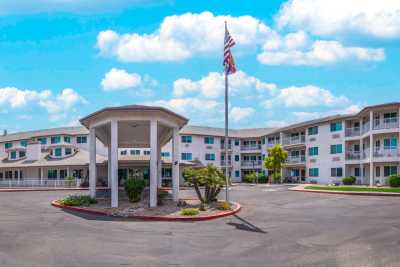 Photo of Desert Rose