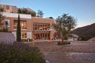 Photo of Ciela