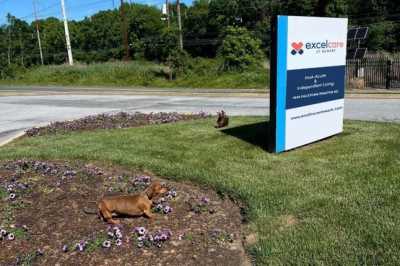 Photo of Excelcare at Newark Independent Living