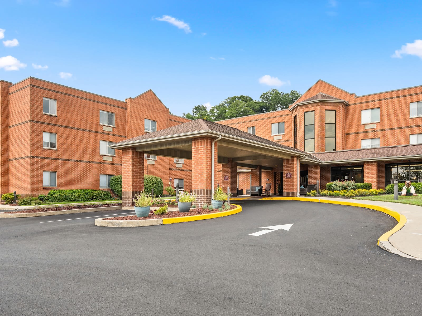 Holiday Walnut Woods 