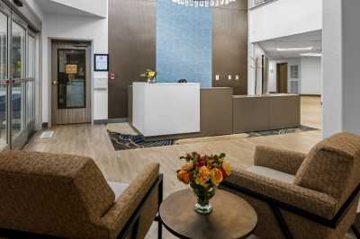 Photo of Beo of Jackson