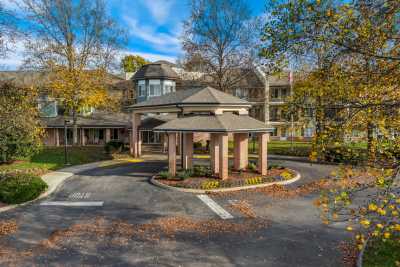 Photo of Beo of Franklin