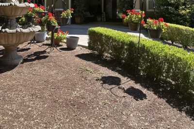 Photo of Angel Hands Adult Family Home