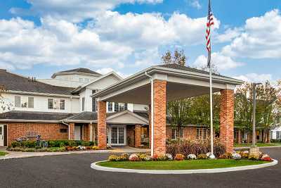 Photo of Holiday Maple Downs