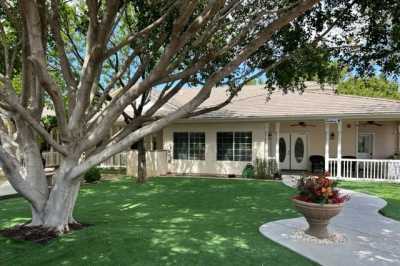 Photo of Lavender Lane