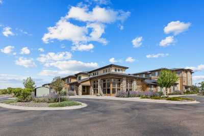 Photo of The Ivy Thornton