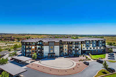 Photo of The Ivy Pueblo