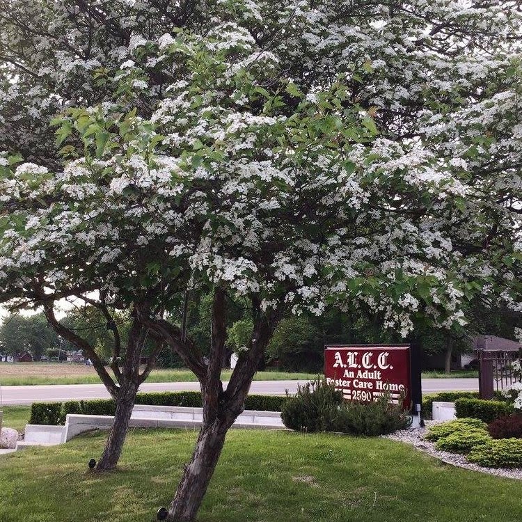 Alice Lorraine Care Center