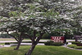 Alice Lorraine Care Center 
